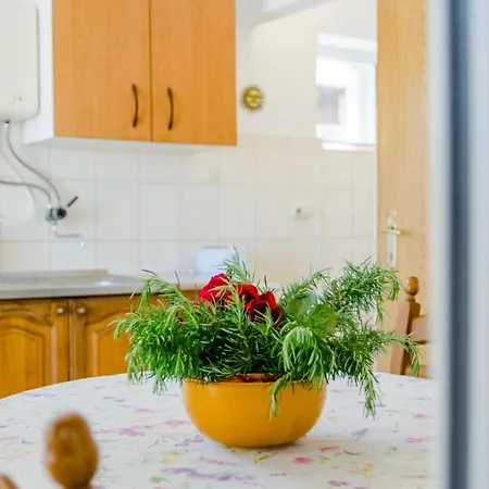 Lili- One Bedroom With Terrace Apartamento *